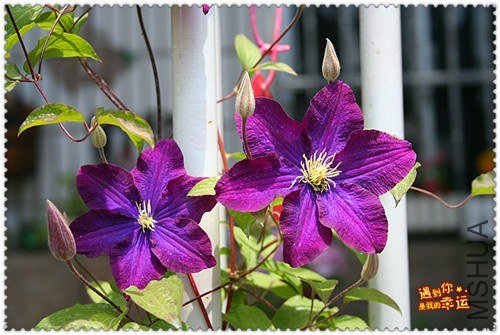 ��Ƭ 154b_����.jpg