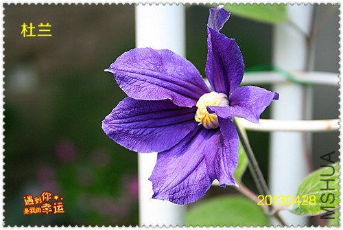 ��Ƭ 156_����.jpg