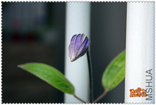 ��Ƭ 157_����.jpg