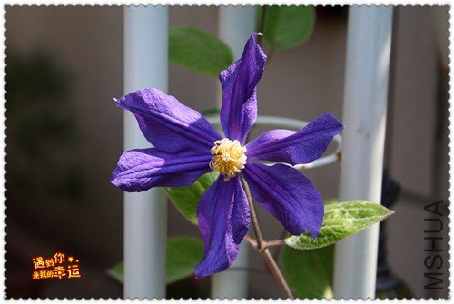 ��Ƭ 157a_����.jpg