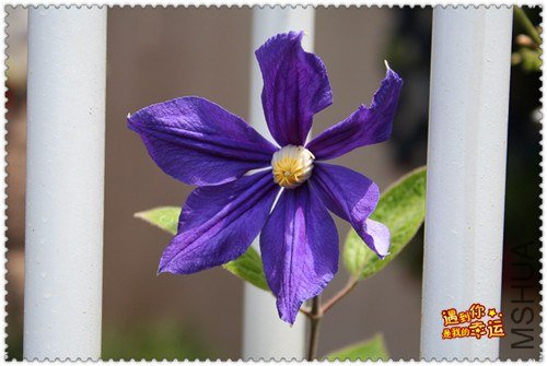 ��Ƭ 157b_����.jpg