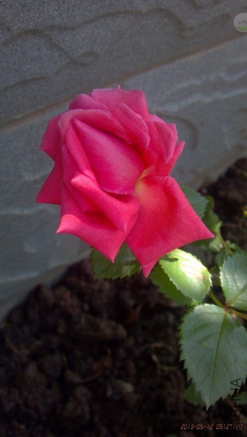 QQͼƬ20130513202625.jpg
