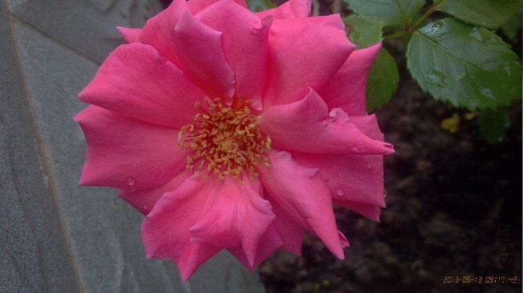 QQͼƬ20130513202716.jpg