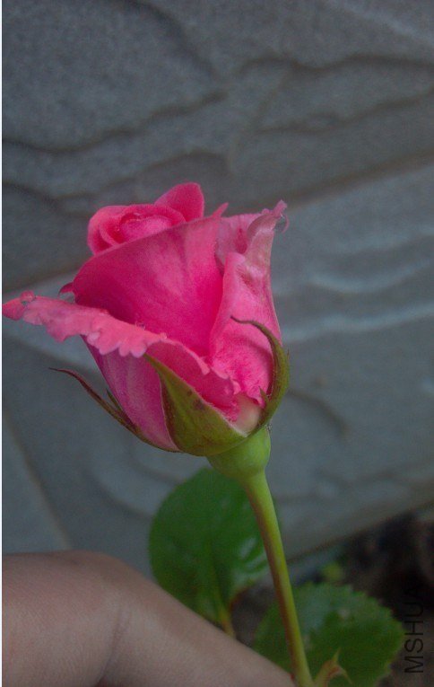 QQͼƬ20130513202748.jpg