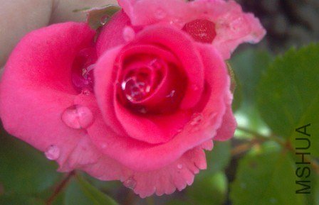 QQͼƬ20130513202813.jpg