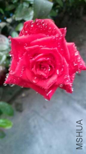��Ƭ 011.jpg