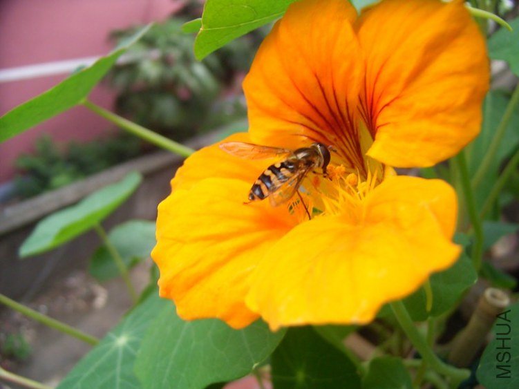 RIMG0023_800x600.JPG