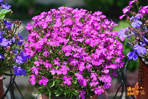 ��Ƭ 117_����.jpg