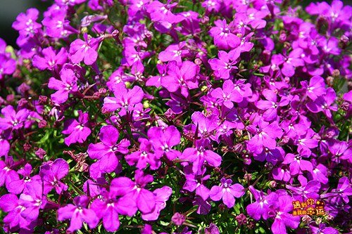 ��Ƭ 118_����.jpg