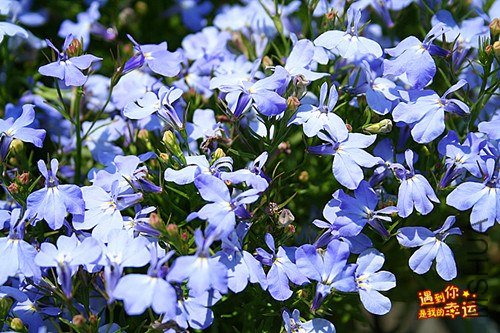 ��Ƭ 125_����.jpg