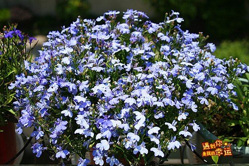 ��Ƭ 122_����.jpg