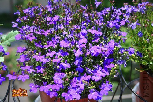 ��Ƭ 128_����.jpg