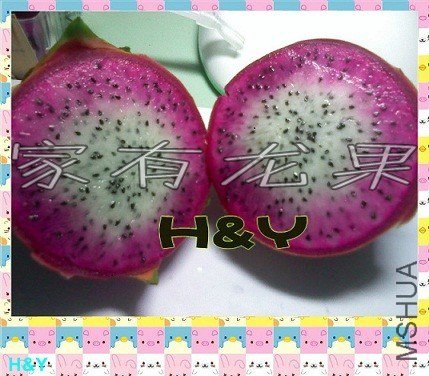 psb_conew7.jpg