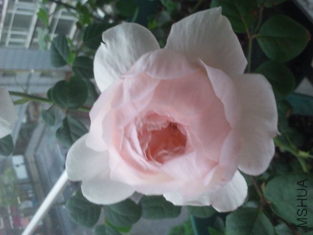 2013-05-09 17.36.26(1).jpg