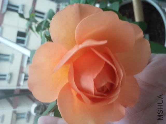 2013-05-09 17.33.01.jpg