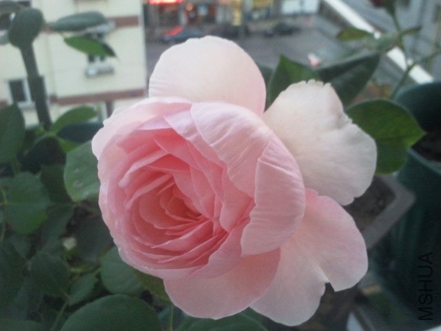 2013-05-13 18.36.44.jpg