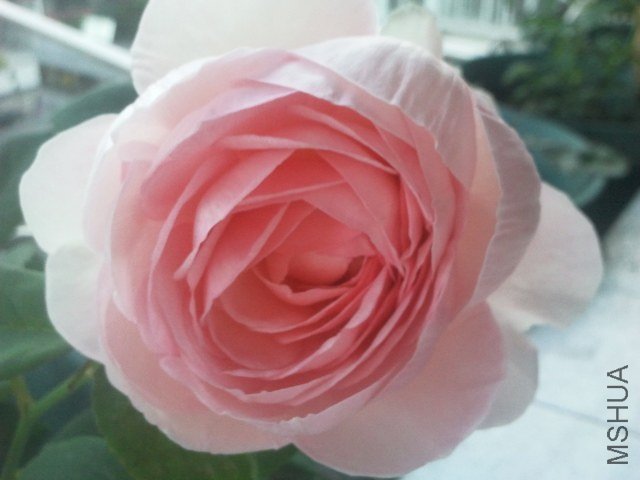 2013-05-13 18.36.58.jpg