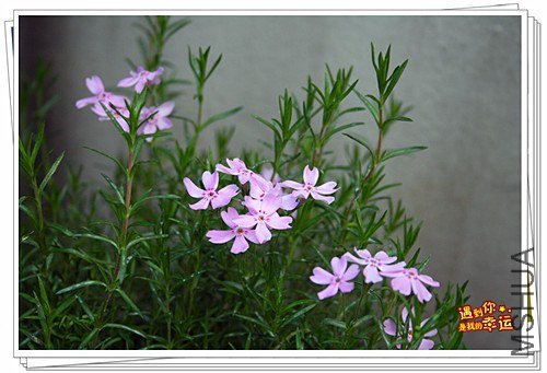 ��Ƭ 004_����.jpg