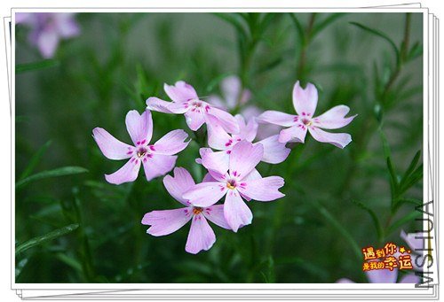 ��Ƭ 006_����.jpg