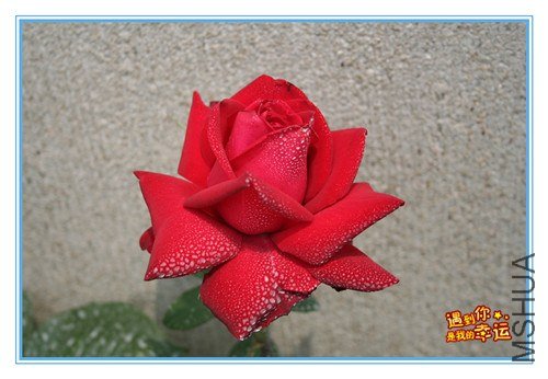 ��Ƭ 125_����.jpg