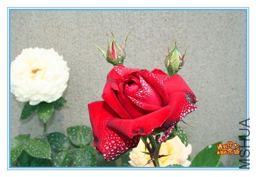 ��Ƭ 121_����.jpg