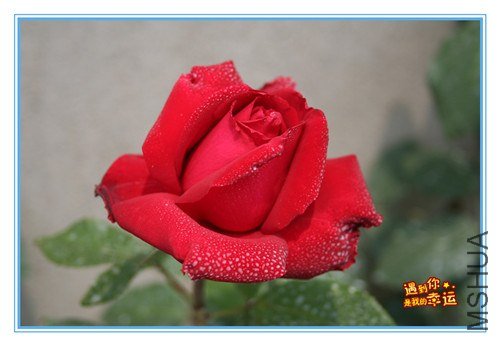 ��Ƭ 123_����.jpg