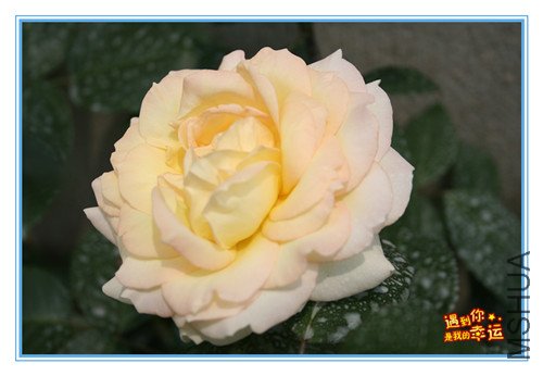 ��Ƭ 119_����.jpg