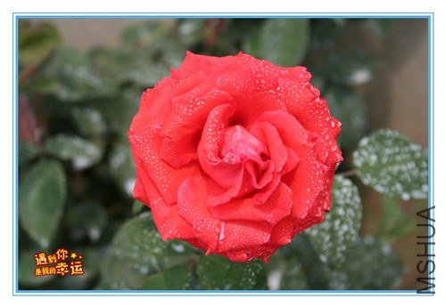 ��Ƭ 117_����.jpg