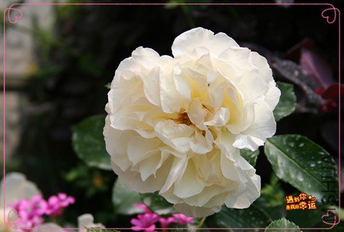 ��Ƭ 129_����.jpg