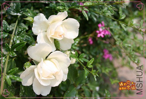 ��Ƭ 131_����.jpg