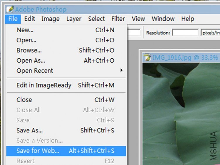 ����WEB��ʽ