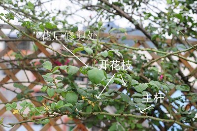 7c1ed21b0ef41bd5387d9d7951da81cb39db3d14.jpg