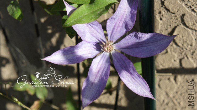 DSC03258 ����.jpg