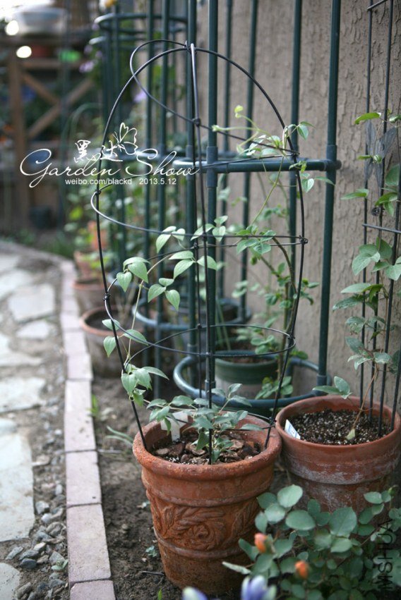 IMG_9757 ����.jpg