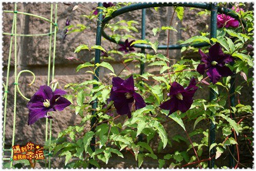 ��Ƭ 160b_����.jpg