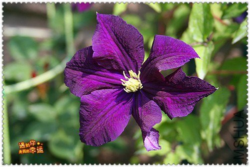 ��Ƭ 160c_����.jpg