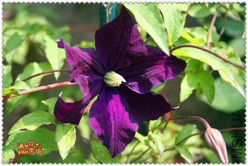 ��Ƭ 160d_����.jpg