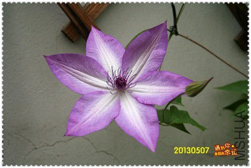 ��Ƭ 161a_����.jpg