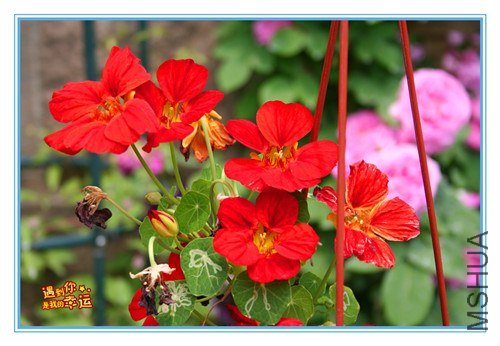 ��Ƭ 134_����.jpg