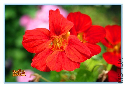 ��Ƭ 136_����.jpg