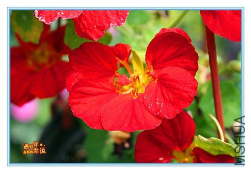 ��Ƭ 137_����.jpg