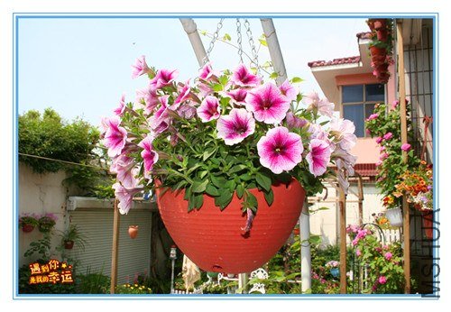 ��Ƭ 048_����.jpg