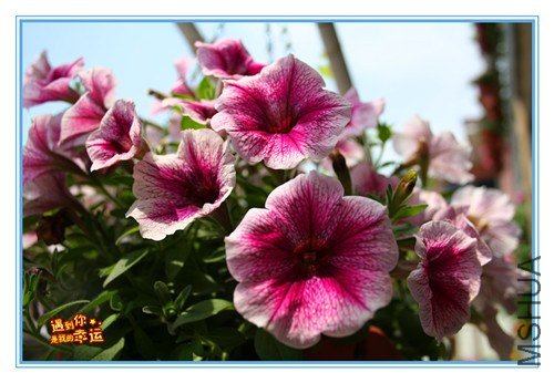 ��Ƭ 050_����.jpg