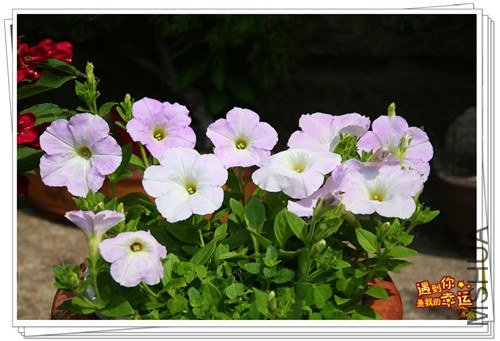 ��Ƭ 059_����.jpg