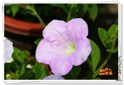 ��Ƭ 062_����.jpg