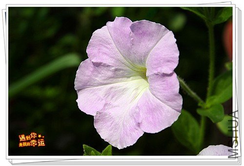 ��Ƭ 064_����.jpg