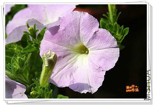 ��Ƭ 067_����.jpg