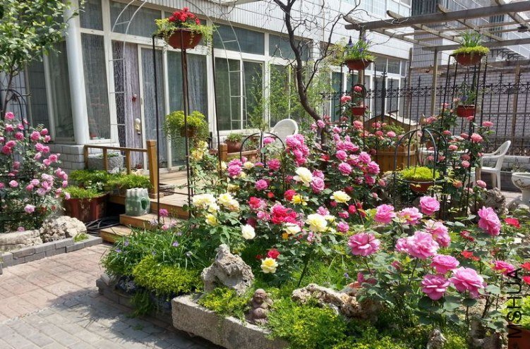 20130515_104952.jpg