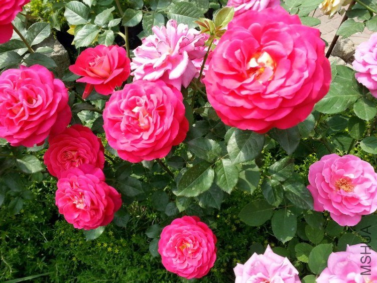 20130514_141840.jpg