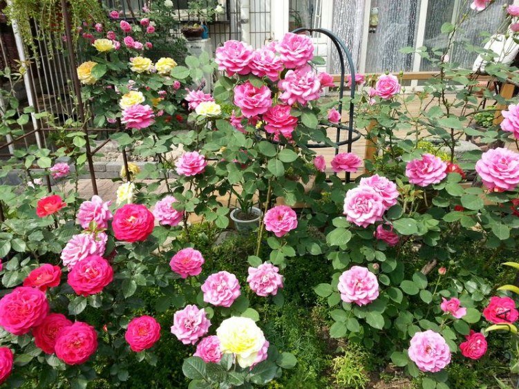 20130514_141728.jpg